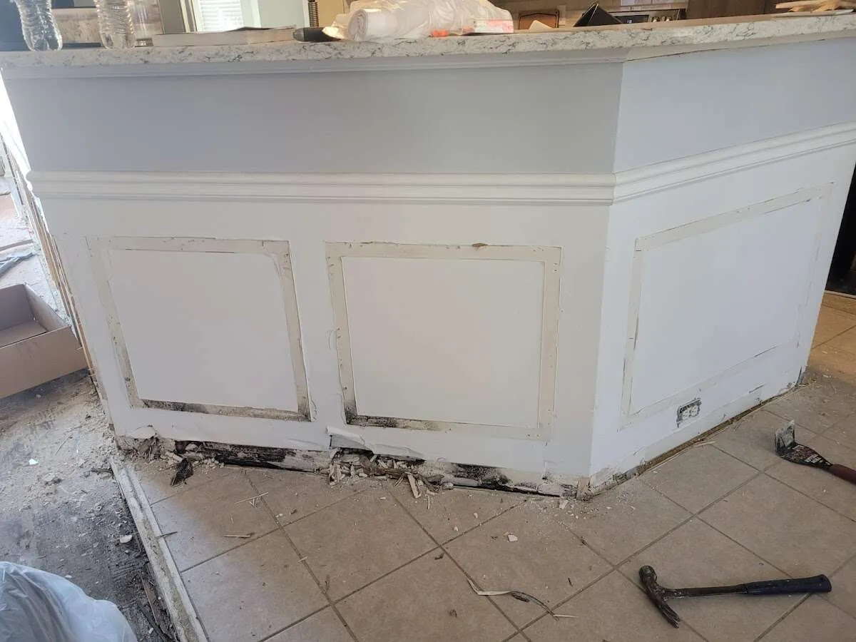 Water damage and mold on kitchen during Mold Inspection & Testing in Frisco